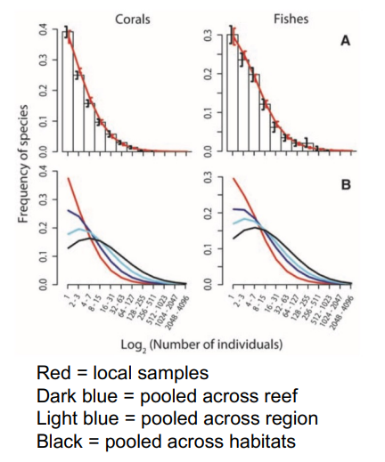 <ul><li><p>Conolly et al (2005) Community Structure of Corals and Reef Fishes at Multiple Scales, Science 309: 1363</p></li><li><p>increase in sampling → log normal distribution emerges</p></li></ul><p></p>