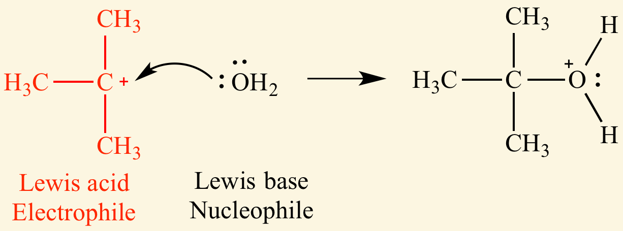 <p>lewis bases</p><ul><li><p>contain a lone pair of electrons and are often anions </p></li></ul><p></p>