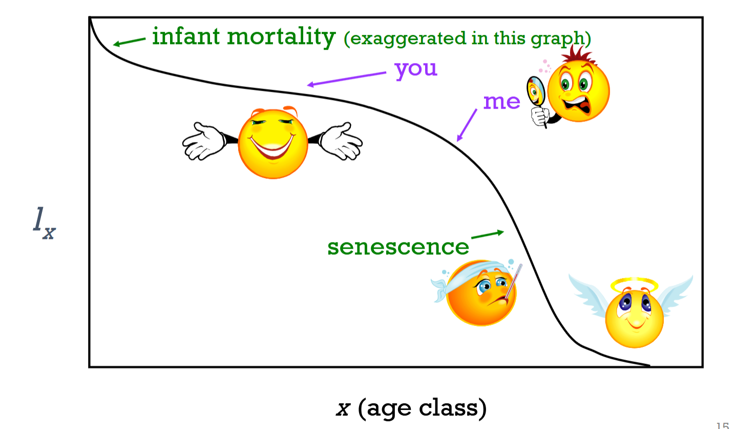 <p>False, graphs are generally more complex </p>