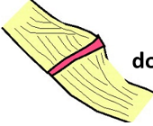 <p>Linear coastlines</p><p>Strandplains, spits, beaches and lagoons</p>