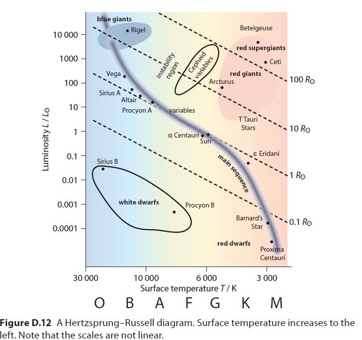 remember shape, white dwarfs and red supergiants