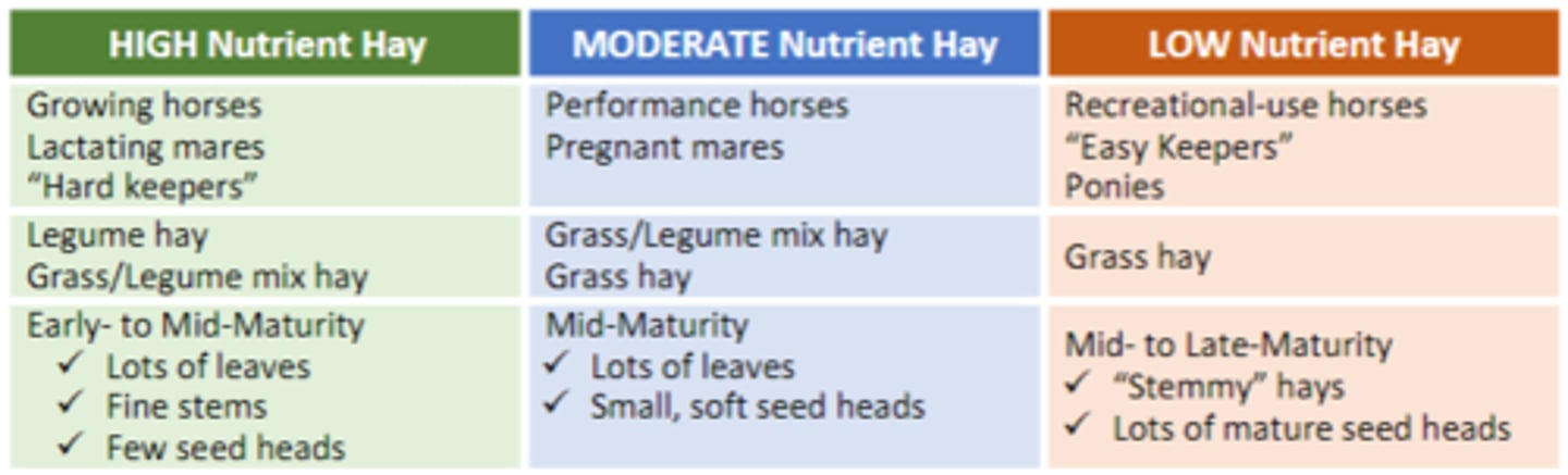 <p>Select a hay suited to the horse -> see chart</p>
