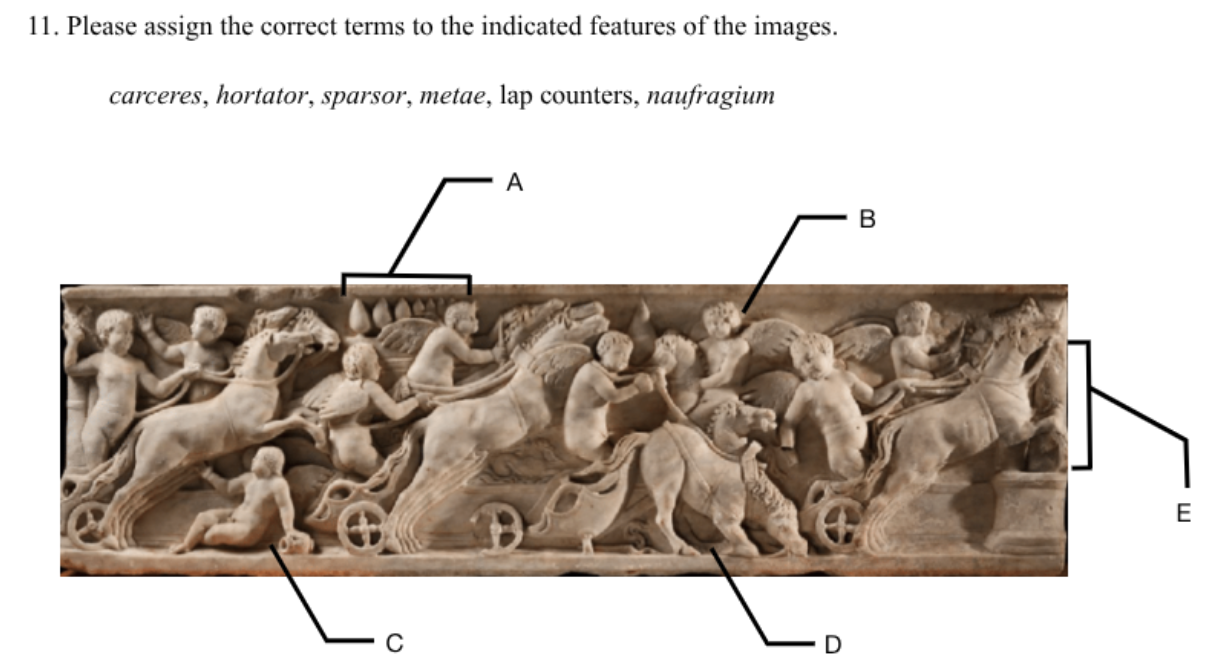 term image