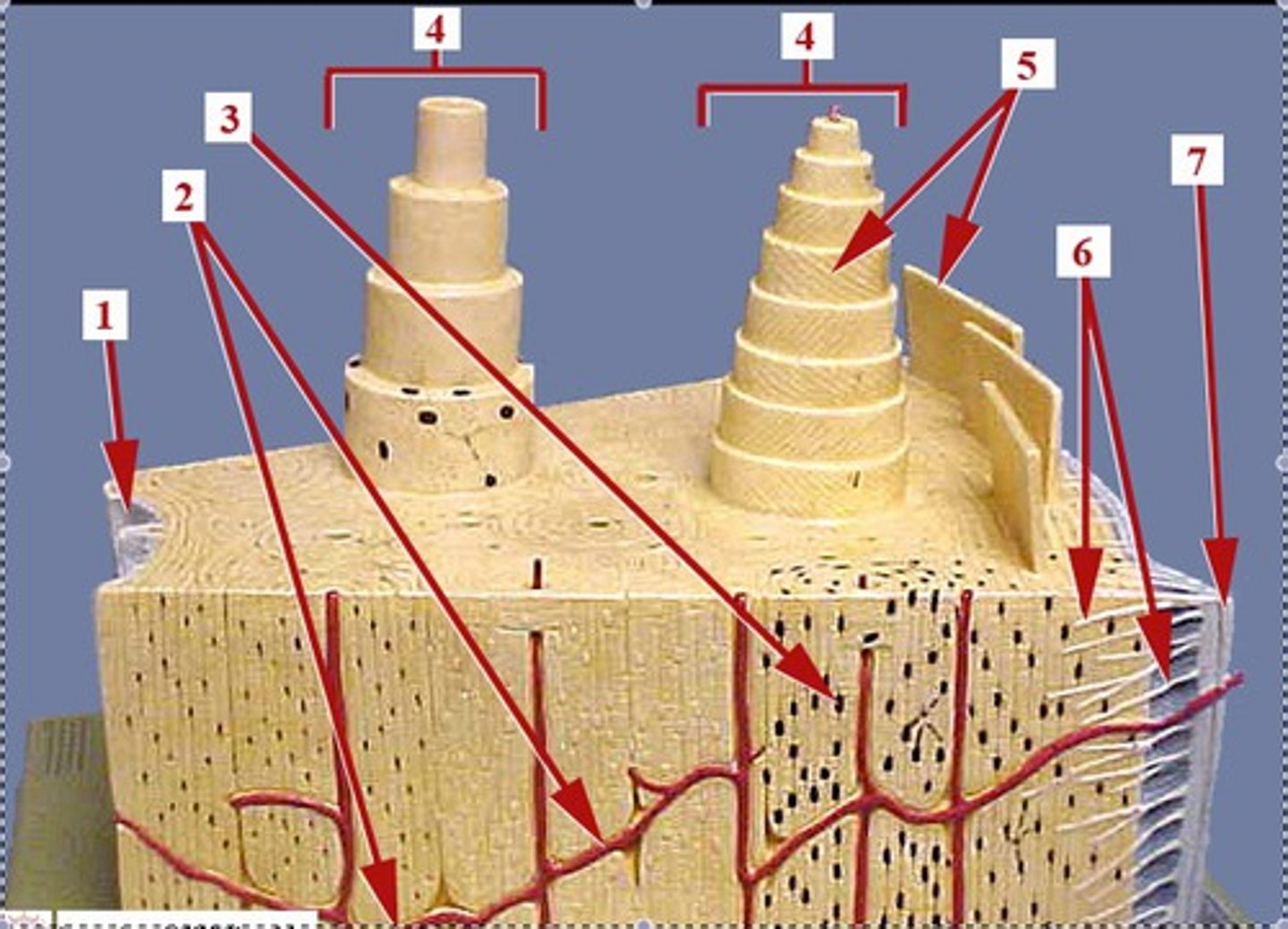 <p>#2</p>