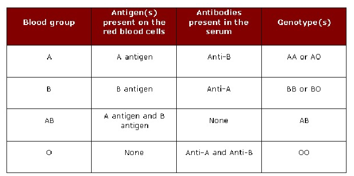 <p><span>most important of all blood groups in transfusion medicine</span></p><ul><li><p><span>blood group system in which people have antibodies in their blood to antigens that are absent from their RBCs without any prior exposure (transfusion or pregnancy)</span></p></li><li><p><span>Due to these antibodies, transfusion of incompatible ABO type may result in immediate lysis of donor RBCs</span></p><ul><li><p><span>Anti-A/B antibodies are IgM</span></p></li></ul></li><li><p><span>Transfusion of ABO-incompatible RBC units remains the leading cause of immediate hemolytic transfusion reaction (HTR) and HTR-related deaths reported by the FDA</span></p><ul><li><p><span>After TRALI and TACO</span></p></li></ul></li></ul><p></p>