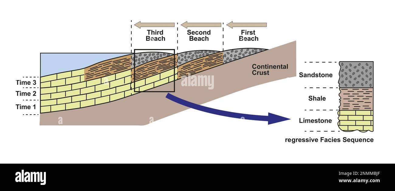 <p>Water recedes from shore; Deep water sediments (limestone and shale) move further back as the water level lowers. Upward coarsening</p>