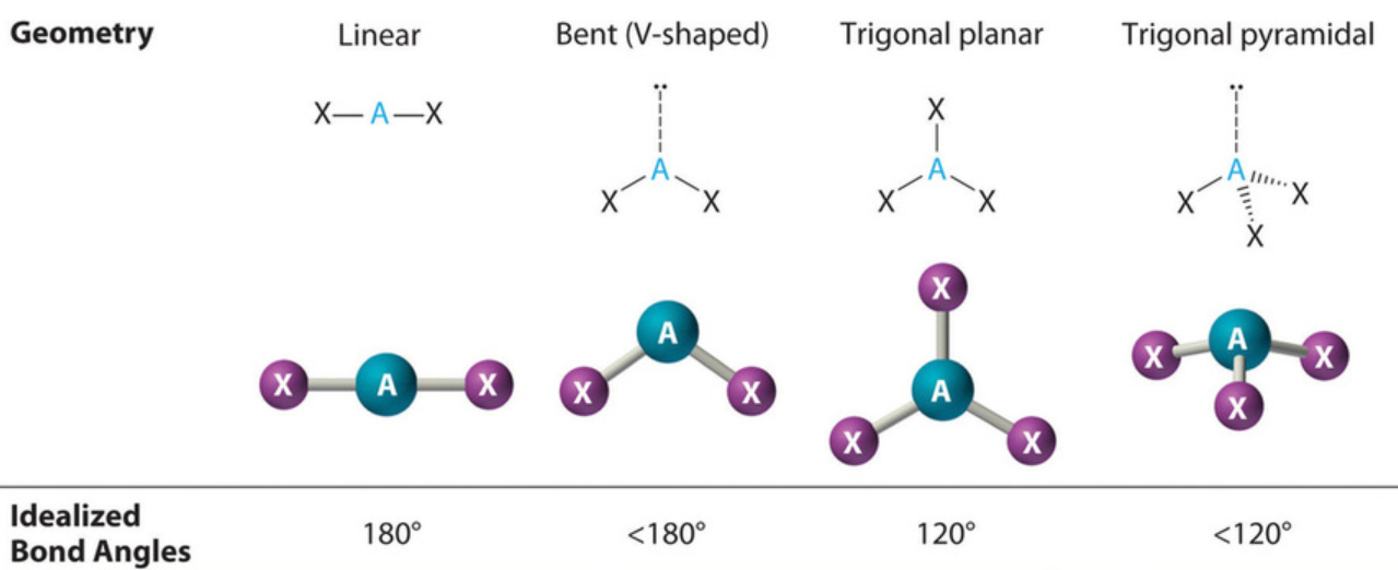 <p><u>Electronic Geometry vs. Molecular Geometry</u></p><p>Describes the spatial arrangement of ONLY the bonding pairs of electrons around the central atom</p><p>The coordination number is the relevant factor </p>