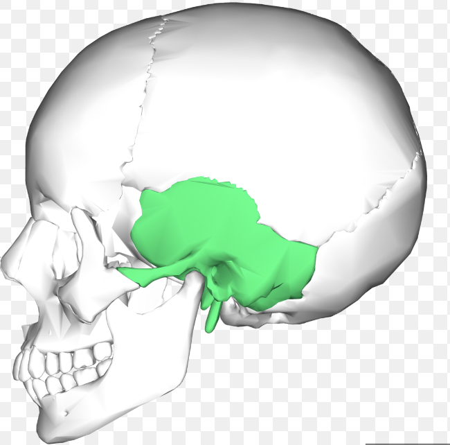 what is the green 