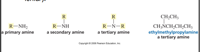 <p>number of alkyl groups attached to the nitrogen determines whether an amine is primary, secondary, or tertiary </p><p></p>
