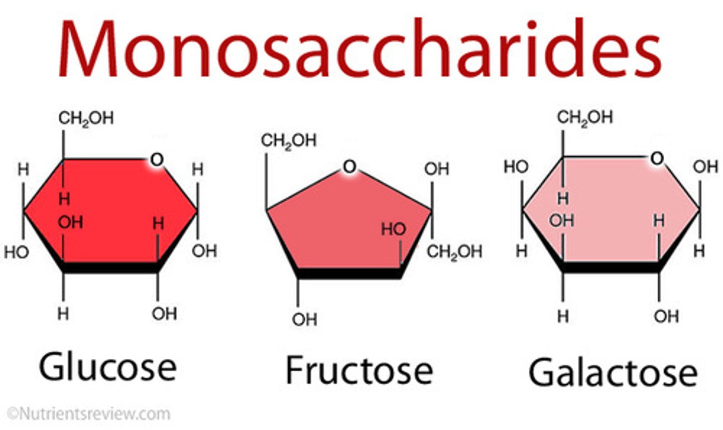 <p>Molecules that have the same molecular formula but different structures</p><p>- in other words, the same types and numbers of atoms but different structures.</p><p>Such as the monosaccharides (Glucose, Fructose and Galactose)</p>