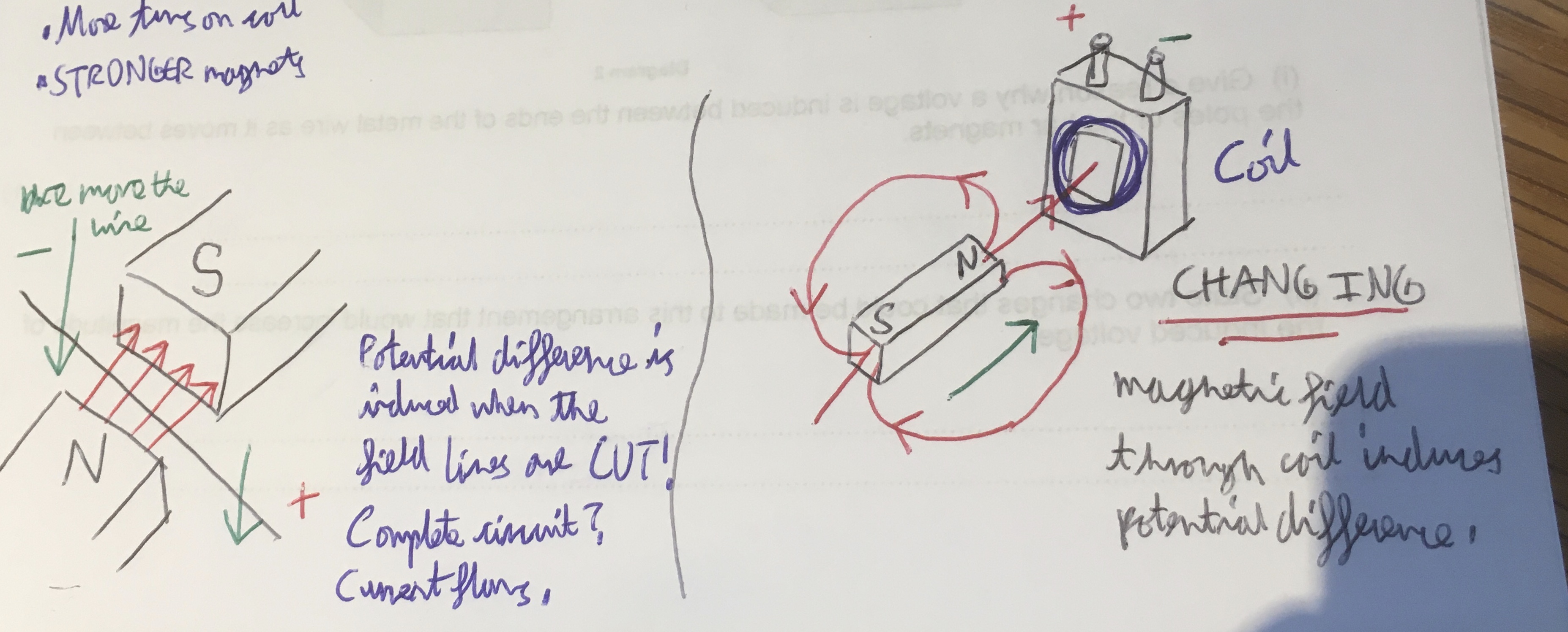 knowt flashcard image