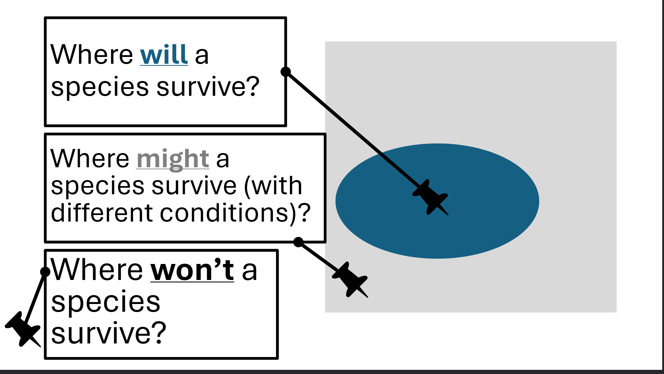 <p>Includes both biotic and abiotic factors </p><p><strong>Fundamental Niche </strong></p><ul><li><p><span><span>All the possible dimensions in which a species can survive in principle</span></span></p></li><li><p><span><span>Potential range based on tolerances</span></span></p></li></ul><p><span><strong><span>Realized Niche </span></strong></span></p><ul><li><p><span><span>The dimensions in which a species</span><span><br></span><span>survives after the effects of biotic</span><span><br></span><span>interactions</span></span></p></li><li><p><span><span>More conditions = narrower range</span></span></p></li></ul><p></p>