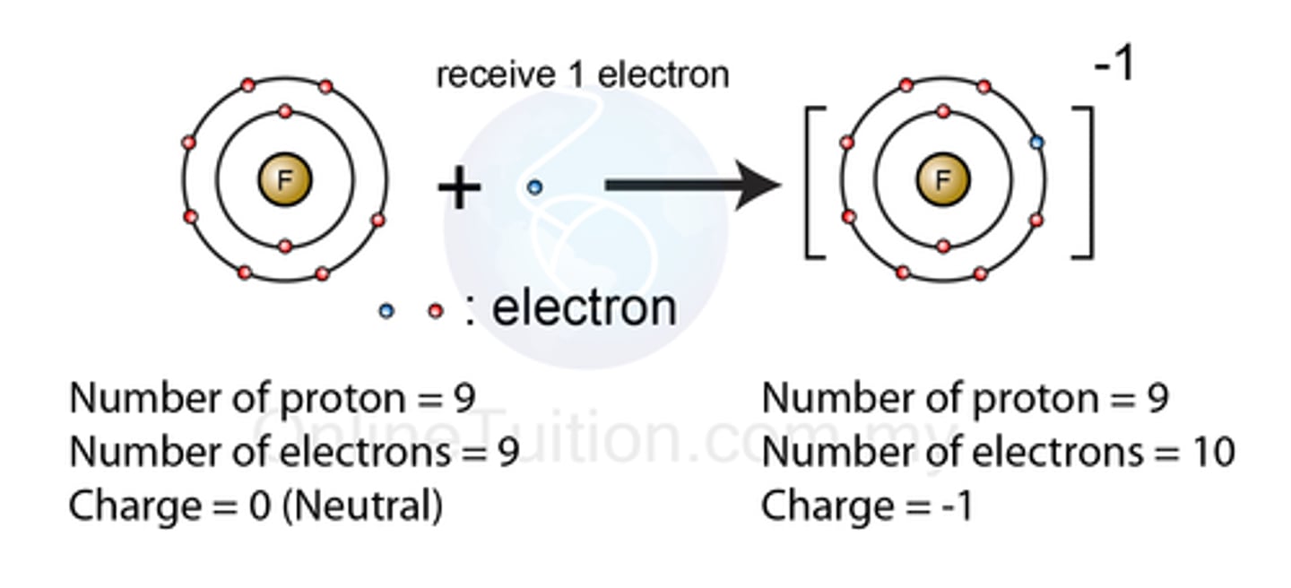 <p>it becomes a negative ion with a larger radius ex) F + e- --> F-</p>