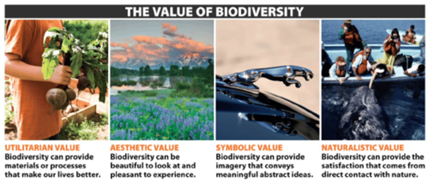 <p>greater stability in tough conditions, more food choices, better chance of at least something surviving when change occurs</p>