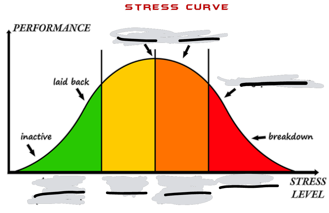 <p>where is peak performance and fill in gaps</p>