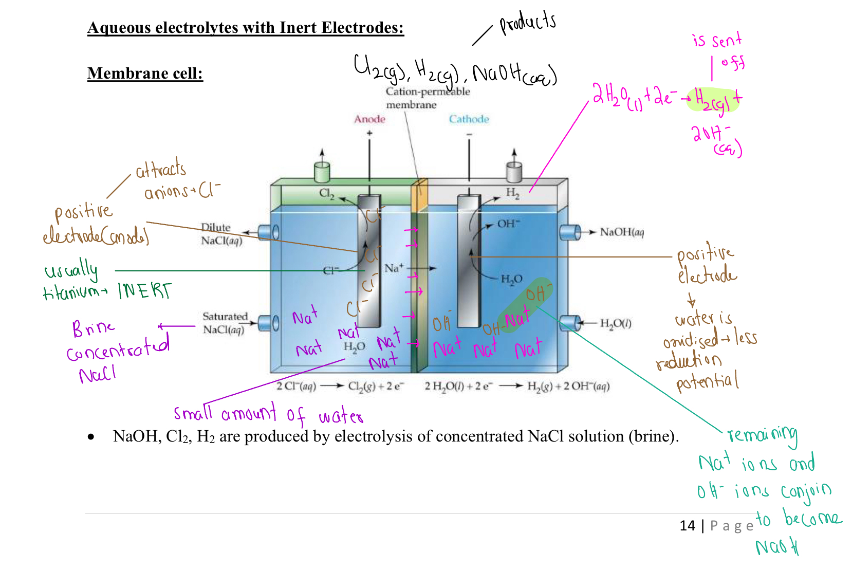 knowt flashcard image