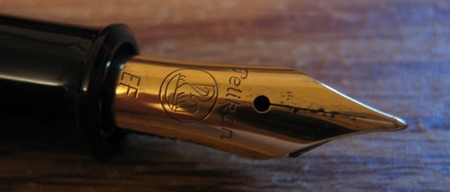 <p>A common tool for drawing with ink is a pen. The point that fits into a traditional pen holder is called a nib regardless of the kind of line it produces.</p>