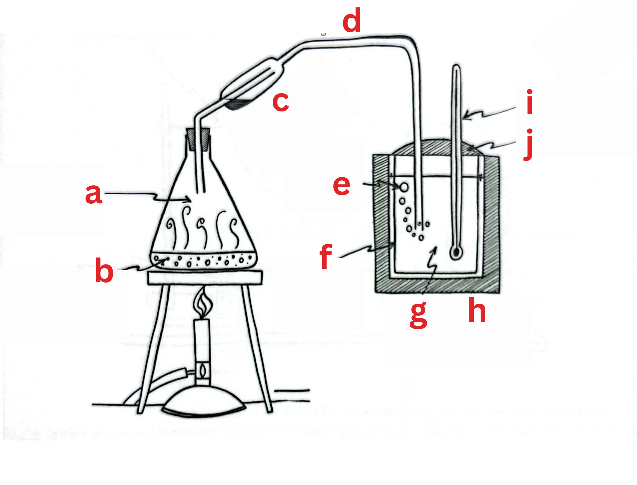 <p>Label this diagram</p>