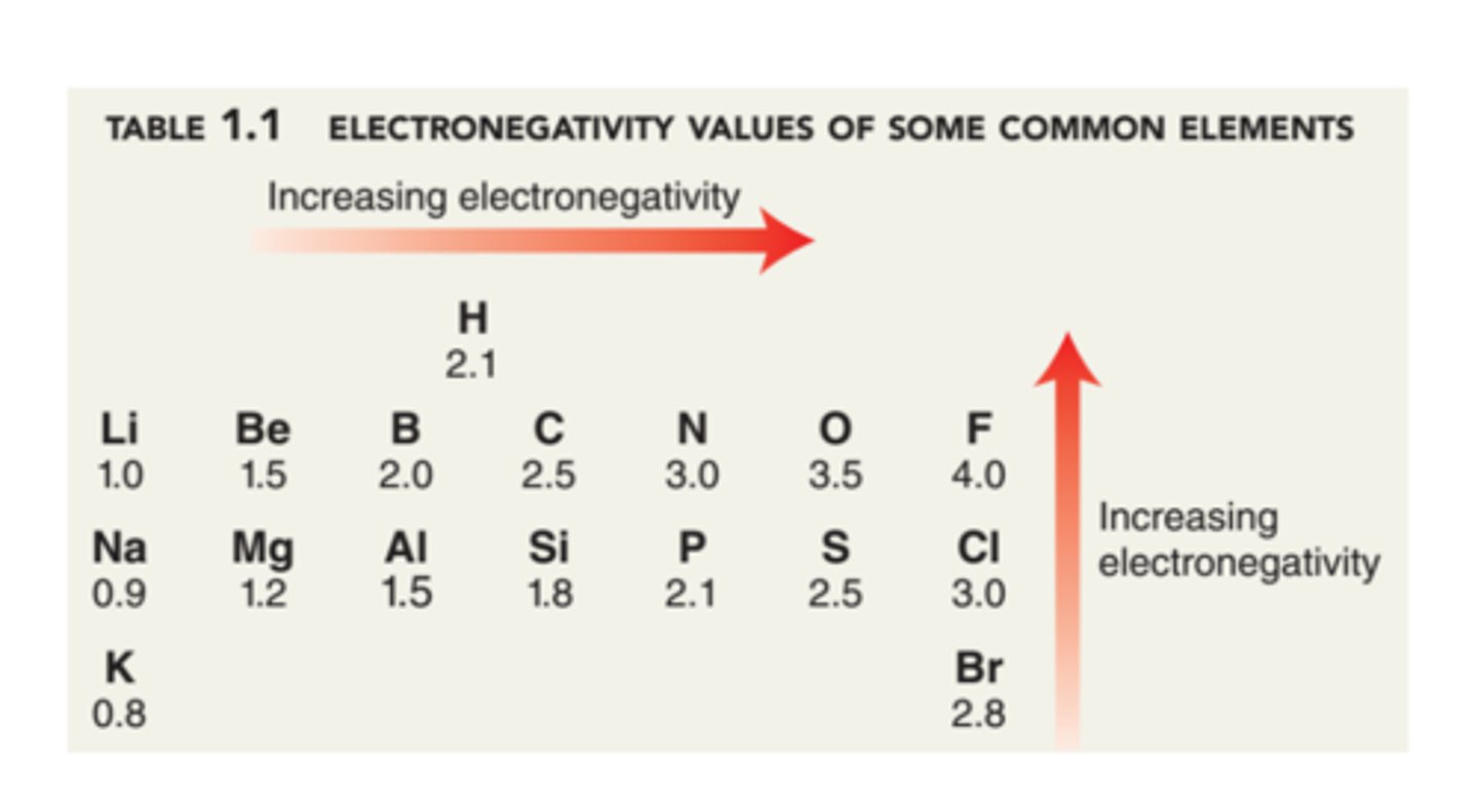 <p>Fluorine</p>