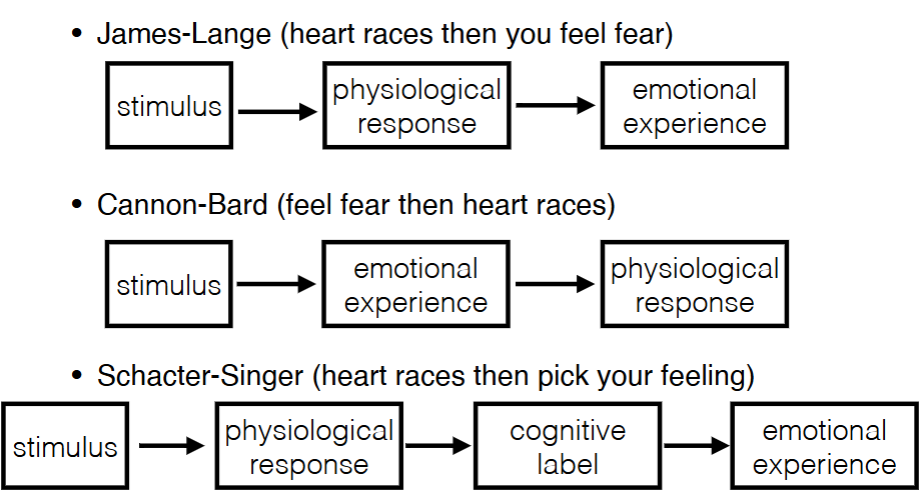 <p>Models of emotions</p>