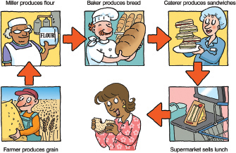 supply chain for sandwiches