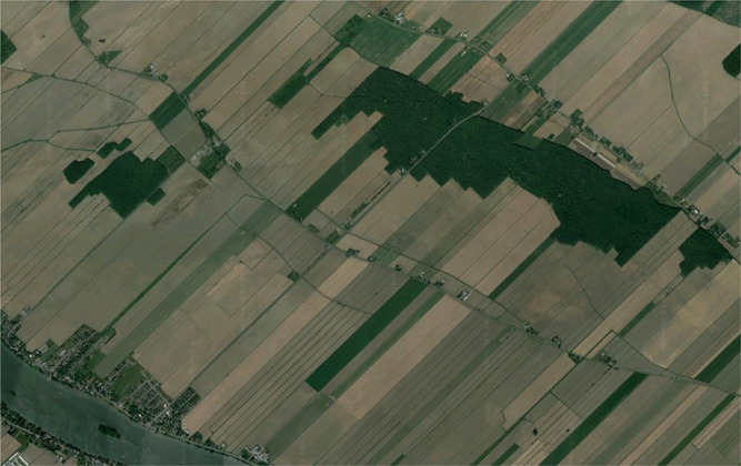 divided and into narrow parcels stretching back from rivers, roads, or canals giving each household equal access to water resources