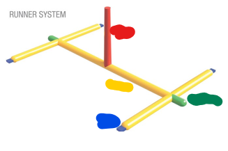 <p>Name the parts of the runner system</p>