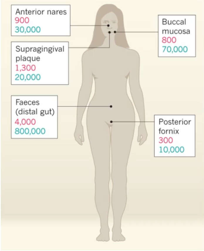<p>how was the data collected for this diagram and what additional details?</p>