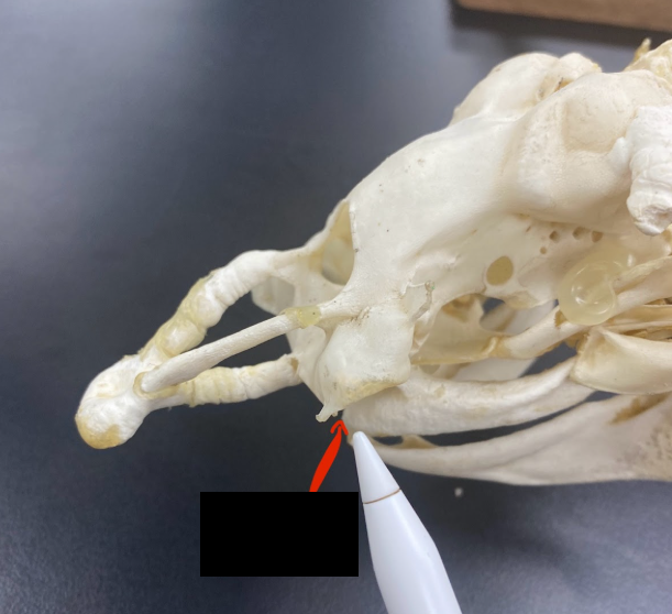 <p>What part is this</p>
