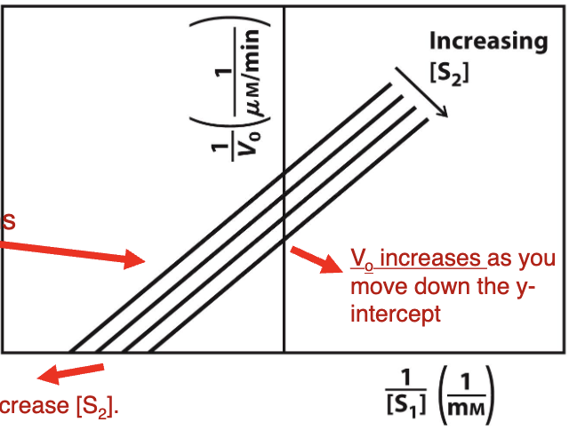 <p>What plot is this?<br>a. Ping-Pong Kinetic Mechanism&nbsp;<br>b.Competitive Inhibition&nbsp;<br>c. Sequential Kinetic Mechanism&nbsp;<br>d. Mixed Inhibition&nbsp;<br>e. Uncompetitive Inhibition&nbsp;</p>