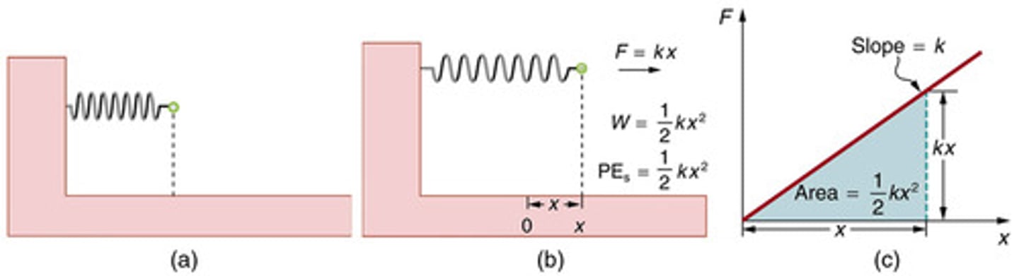 <p>The energy stored in a spring, calculated as PEs = 1/2 kx^2, where k is the spring constant and x is the displacement from its undeformed position.</p>
