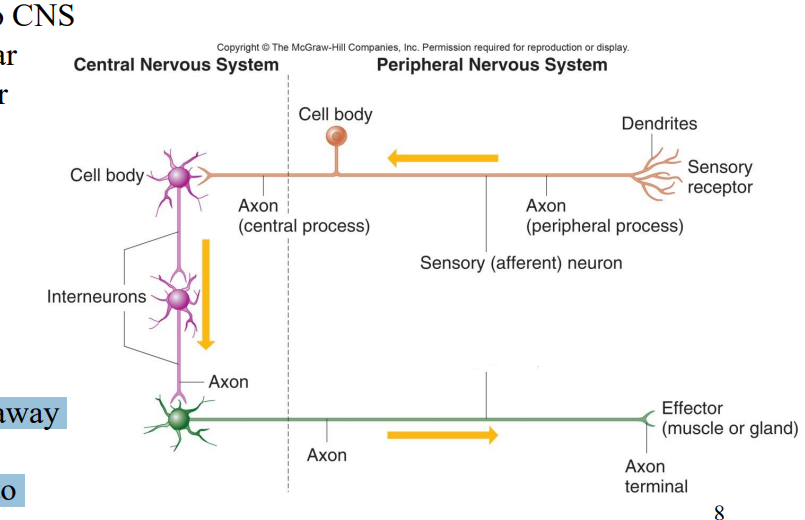 <p>Label the diagram</p>