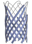 <p>beta conformation wraps around </p>