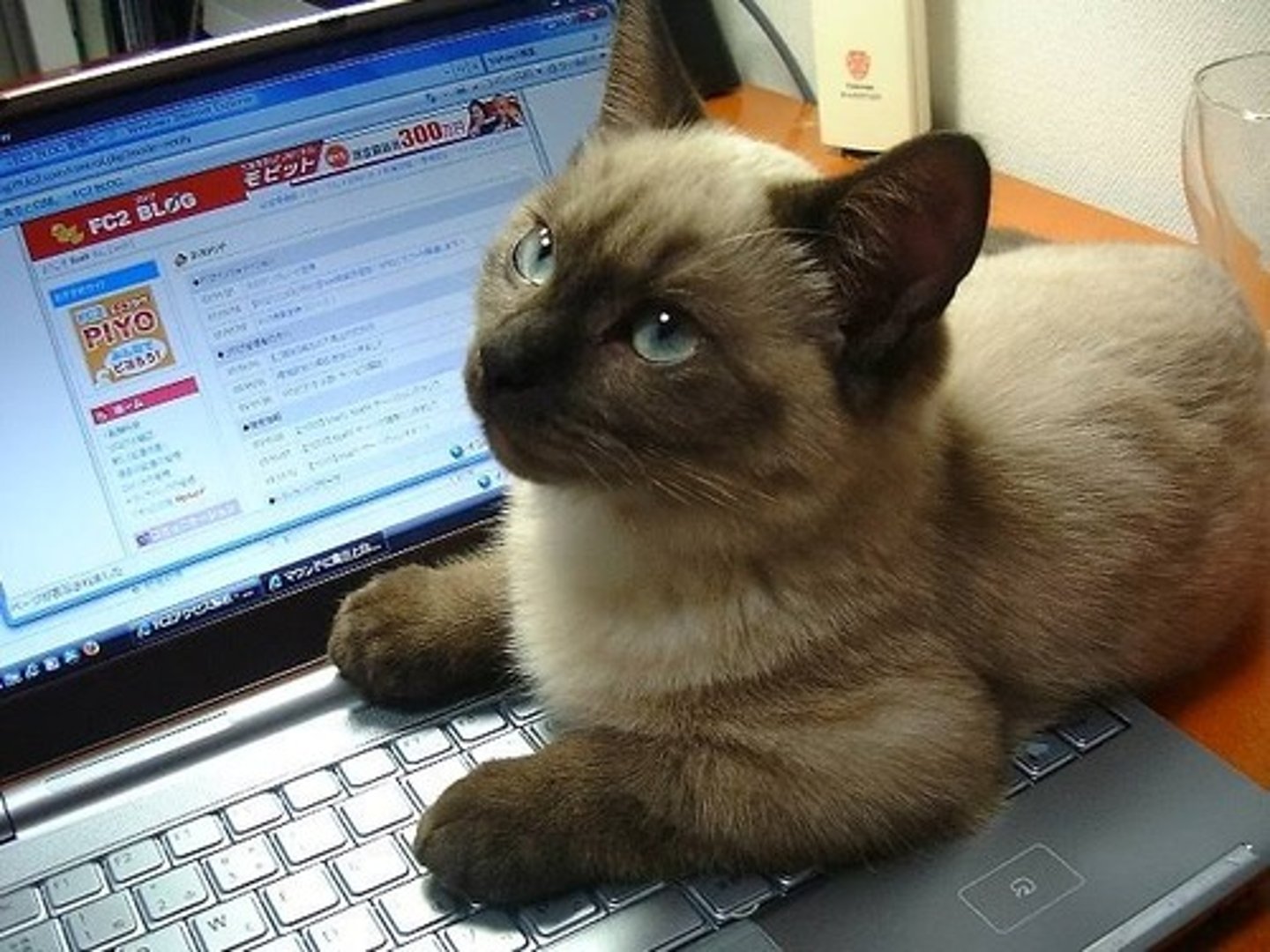 <p>hinder, impede, obstruct</p>