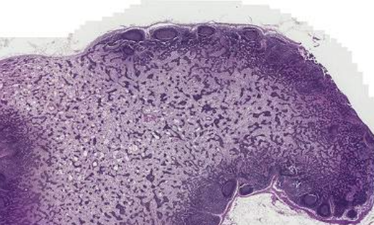 <p>What is this?</p>