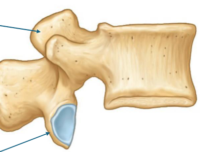 <p>top to bottom </p>