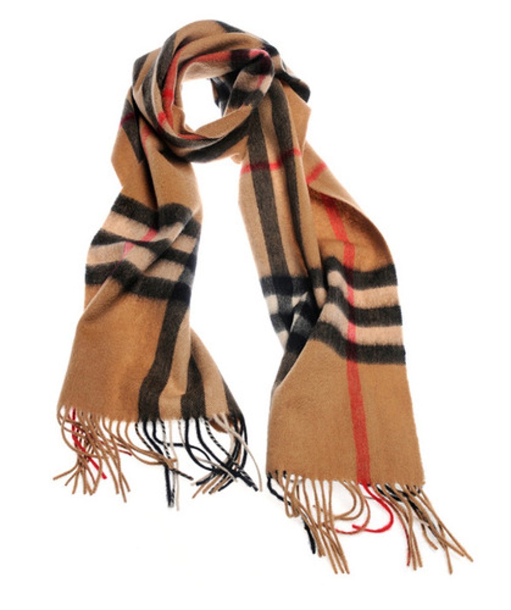 <p>a scarf</p>