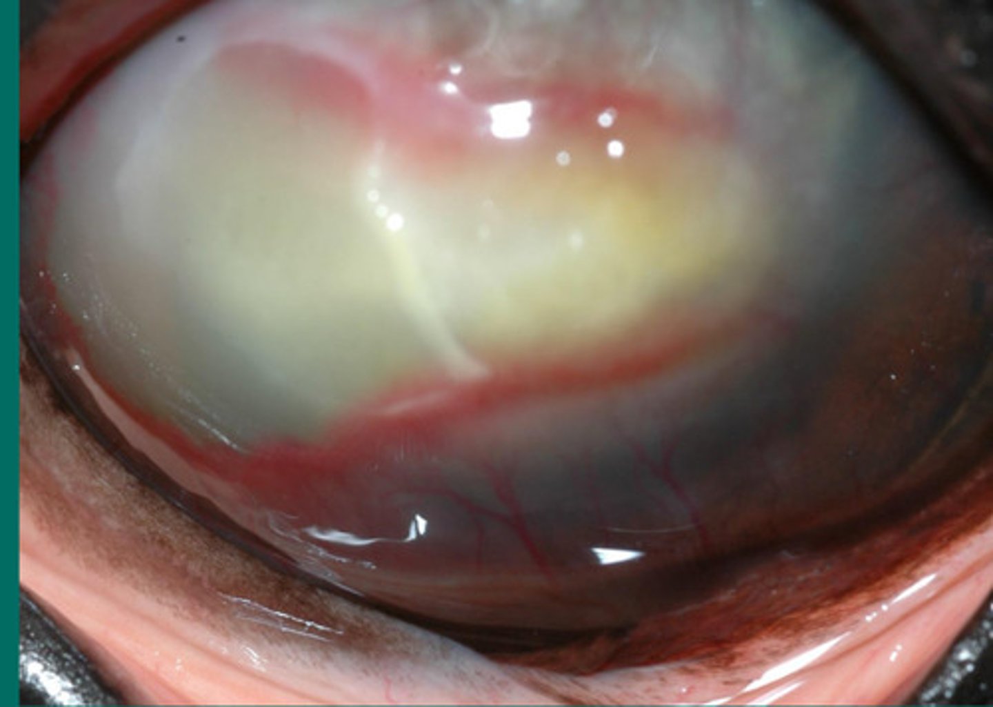 <p>Describe what you are seeing?</p>