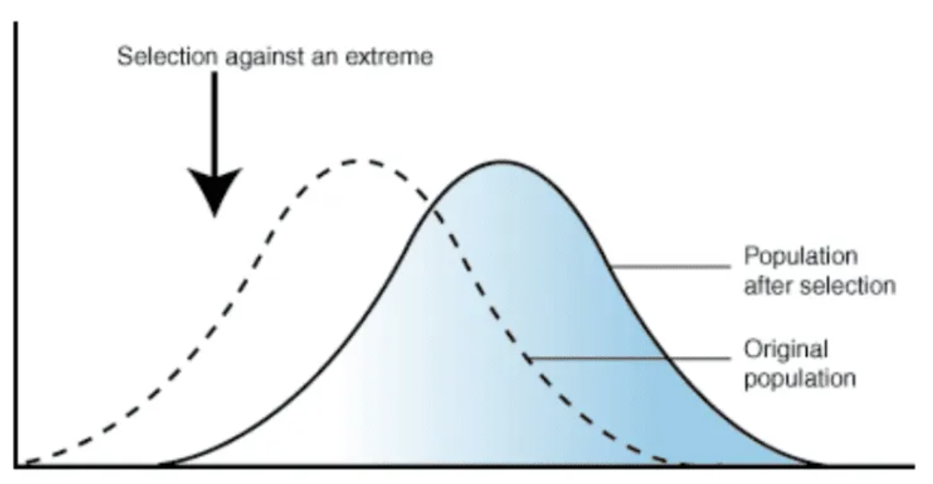 <p>Alleles of an extreme type are selected, and causes the change in characteristic of population</p>