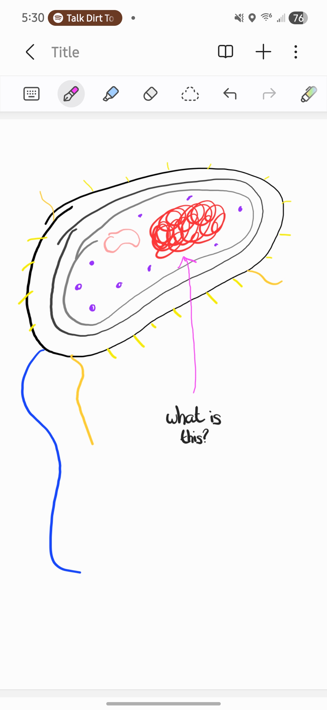 <p>What is this?</p>