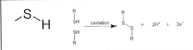 <p>ex. Protein hemoglobin- EN 0.4</p>