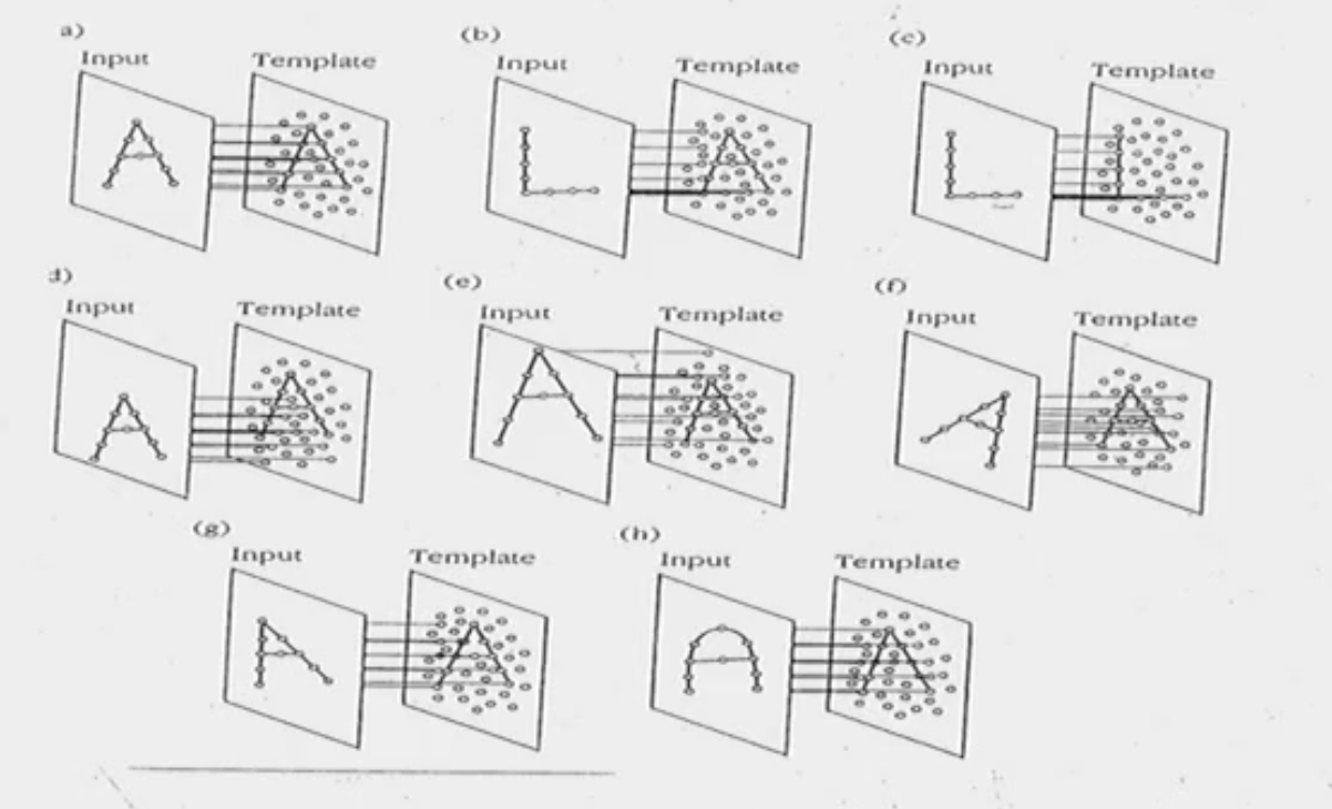 <p>The idea that we have a mental ‘stencil’ for a variety of different patterns that we may see in the world. </p>