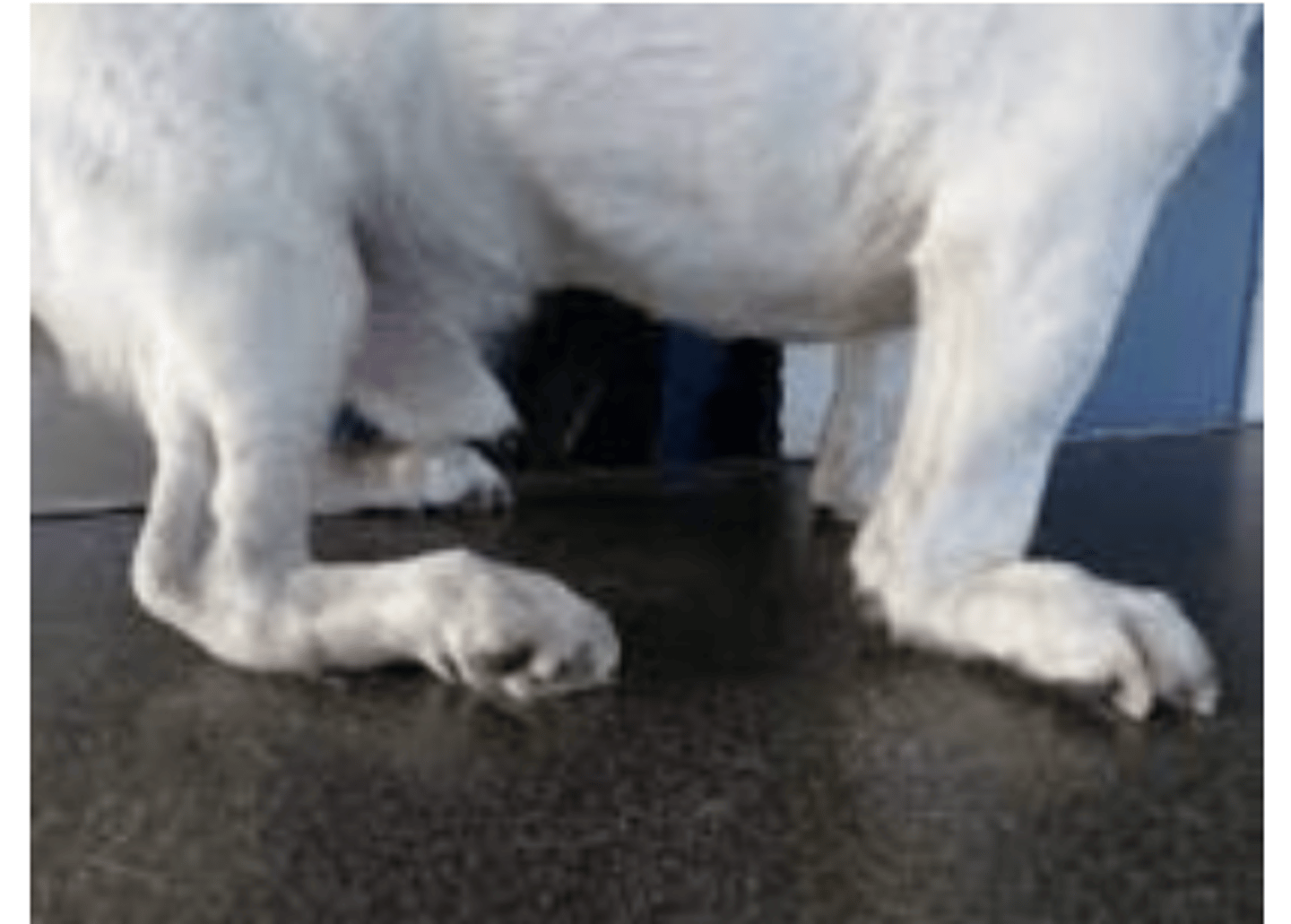 <p>what is this called?</p>