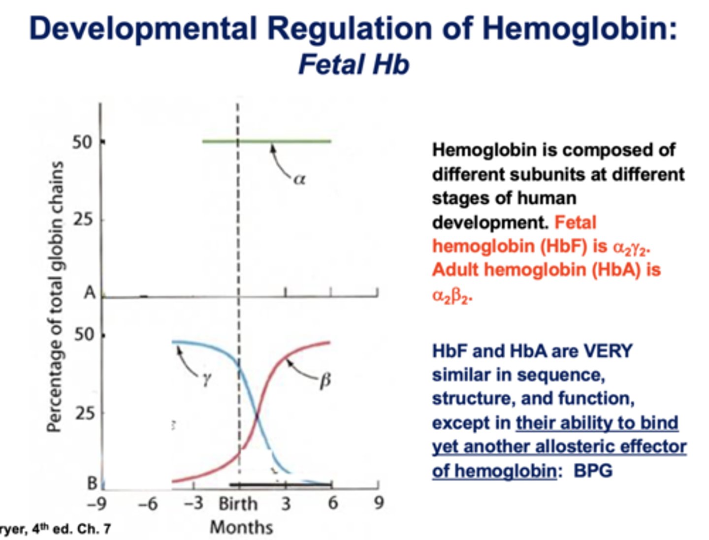 <p>ability to bind to an allosteric effector of hemoglobin: BPG</p>