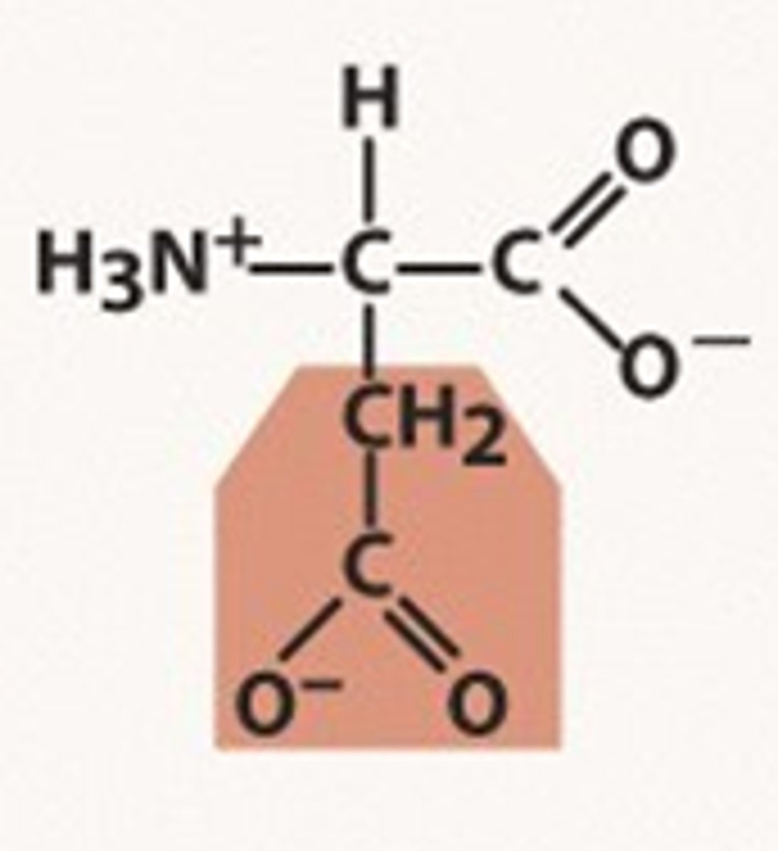 <p>Asp, D, negatively charged, pKr= 3.90</p>
