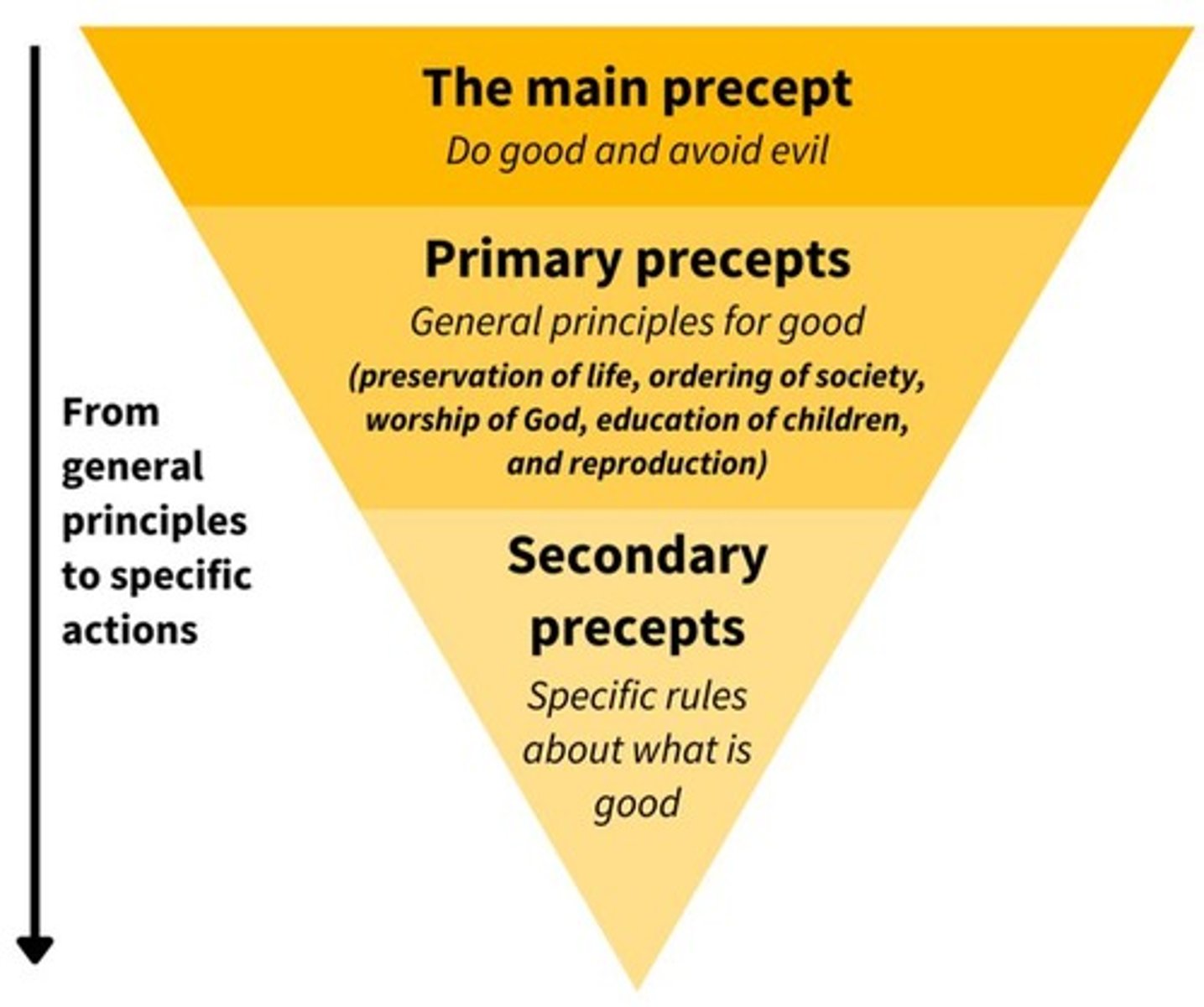 <p>General principles for good, such as preservation of life and worship of God.</p>