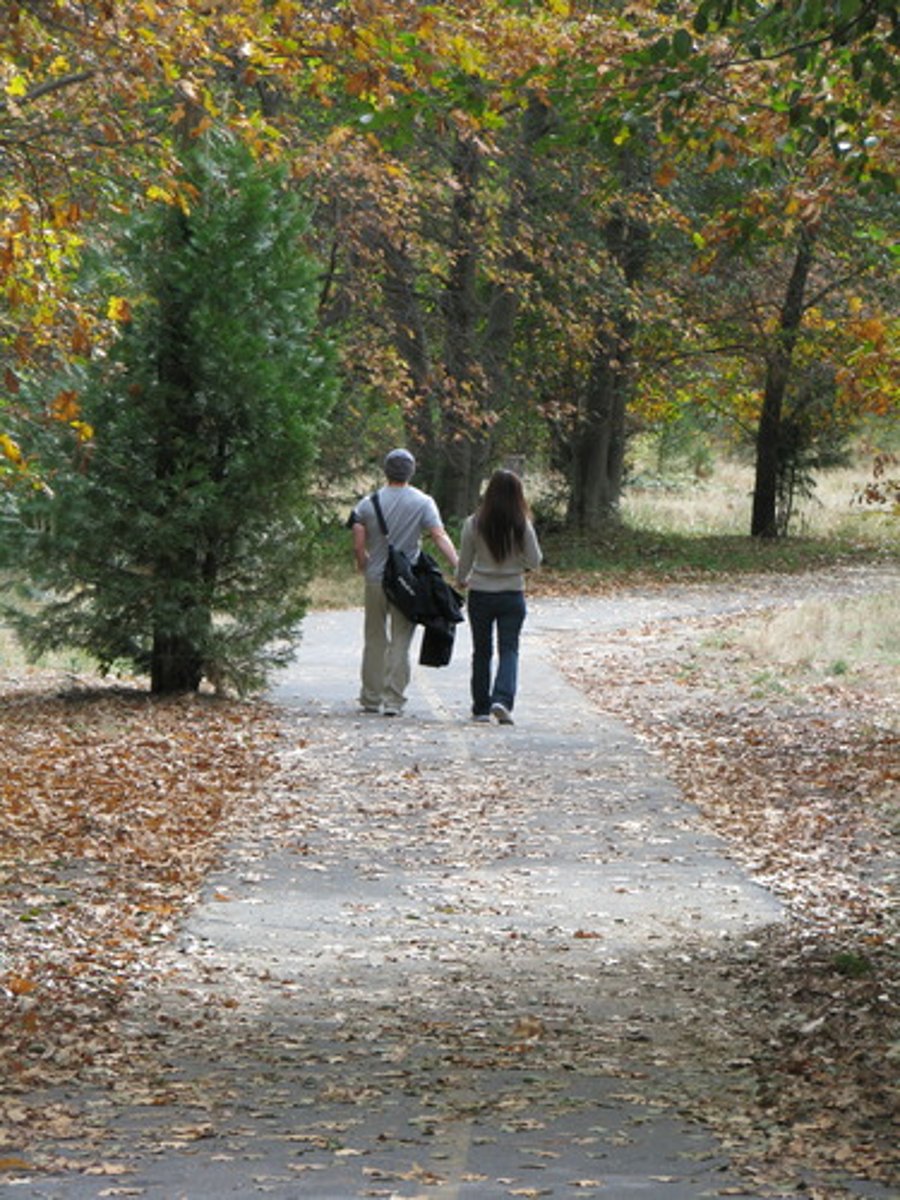 <p>walk/stroll</p>