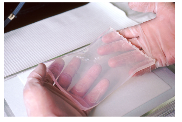 <p>Transfer of Macromolecules from Gel to Membrane</p>