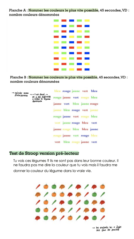 <p>→ tes de Stroop (1935) </p><ul><li><p>calcul d’un score d’interférence </p><ul><li><p>nombre de couleurs dénommées sur planche A - nombre sur planche B</p><p>→ prise en compte des erreurs et des hésitations </p></li><li><p>processus inhibiteurs (lecture) + attention sélective (couleur) </p></li></ul></li><li><p>nette diminution du score d’interférence entre 7 et 12 ans </p><p>→ augmentation de la capacité d’inhibition </p></li></ul><p></p>