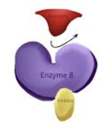 <p>bind to a raondom spot on enzyme called “allosteric site” - can be reversible or not </p>